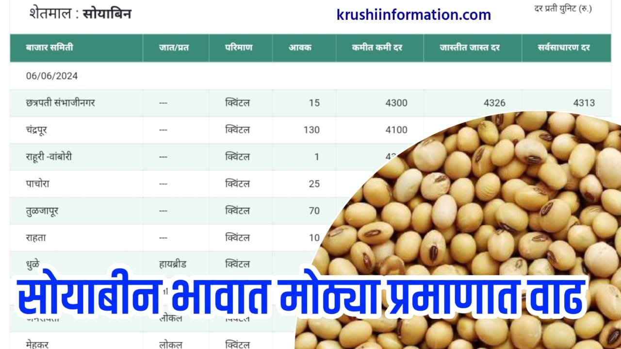 Soyabean Rate Today