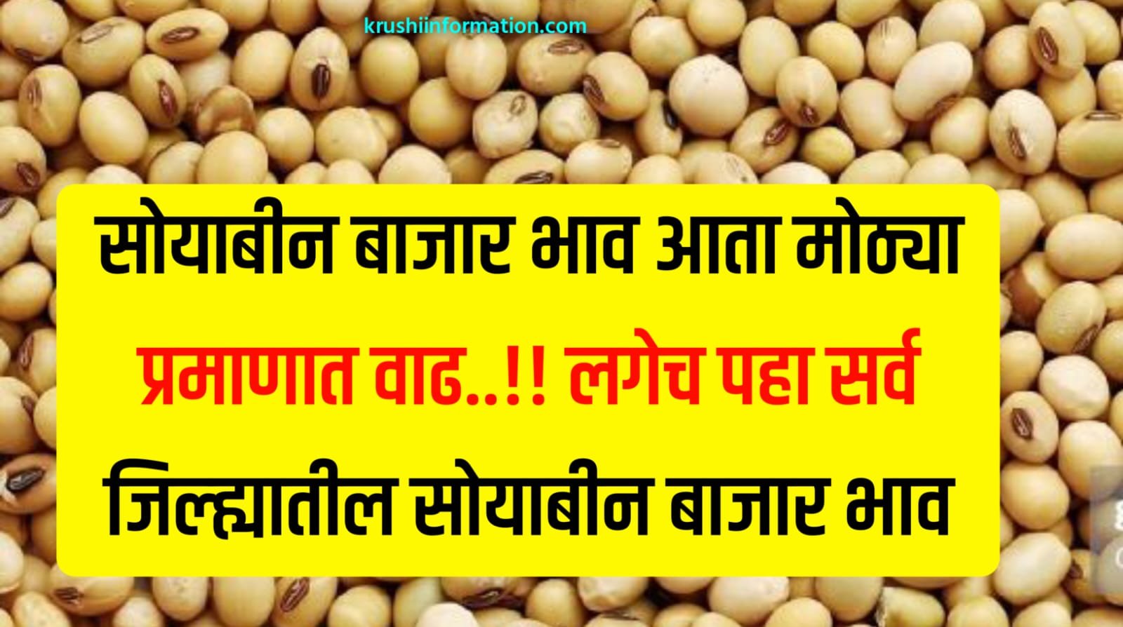 Soyabean Rate Today