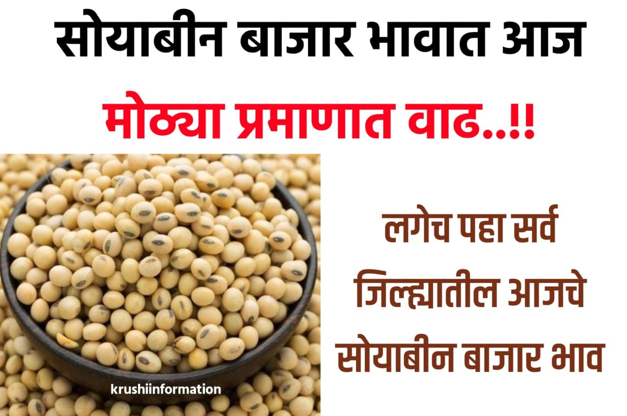 Soyabean Rate