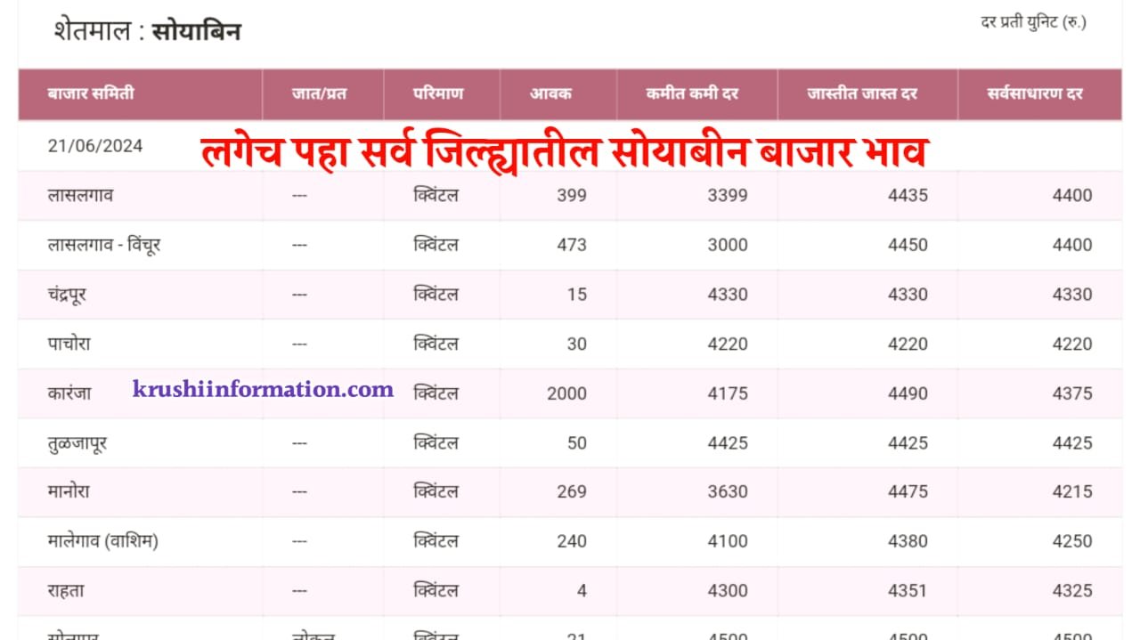 Soyabean rate today