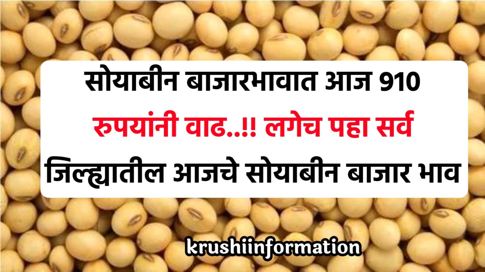 Soyabean Rate Today