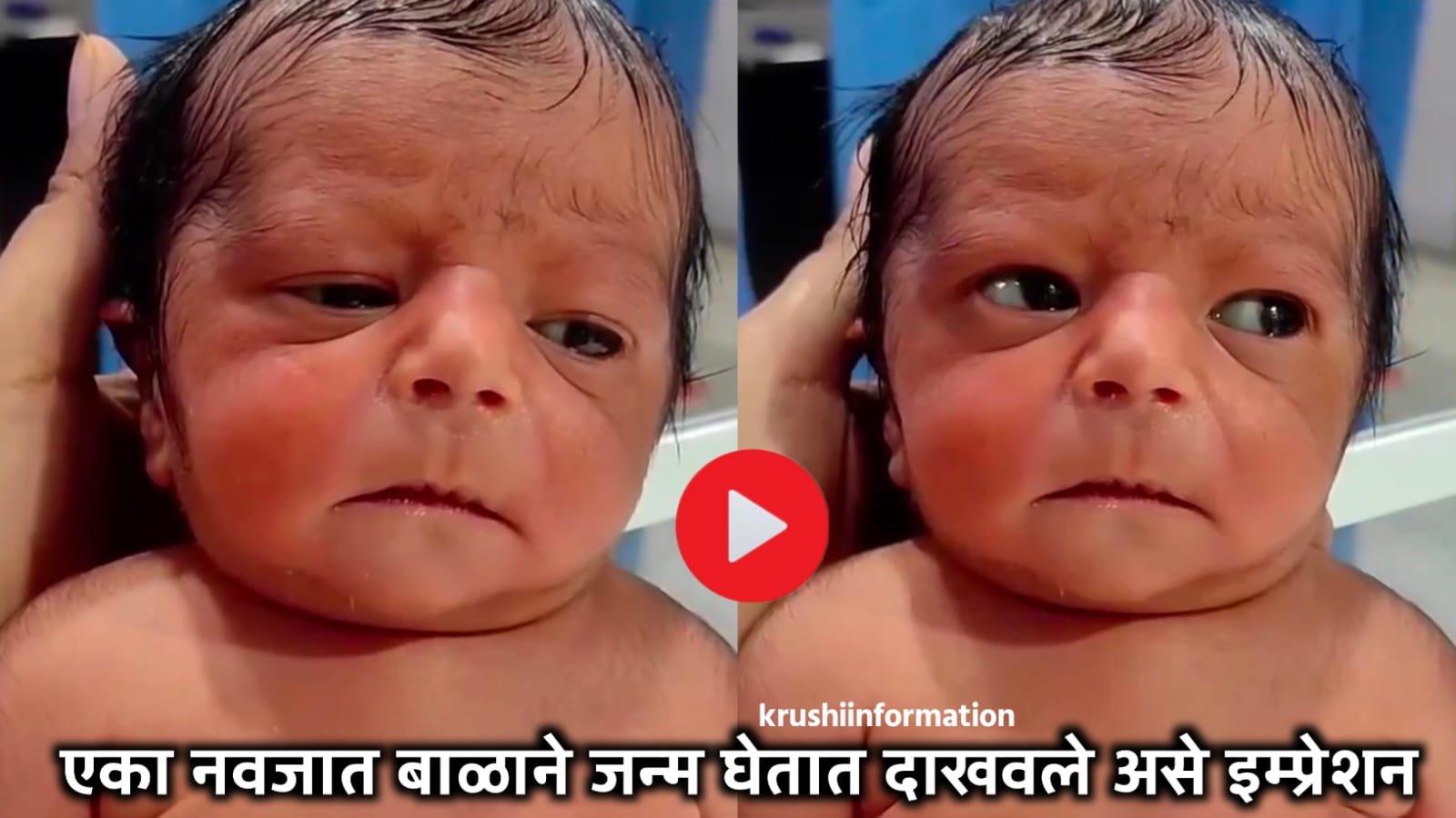 Funny baby video