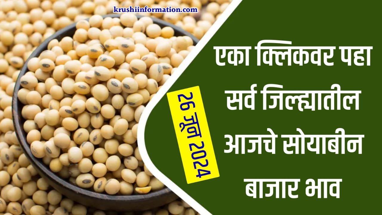 Soyabean Rate Today