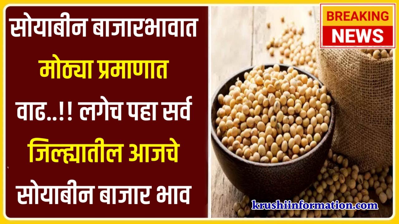 Soyabean rate today