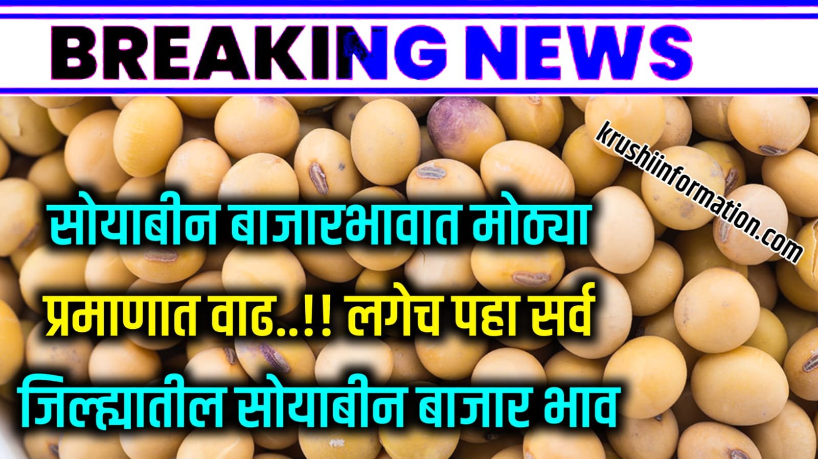 Soyabean Rate Today