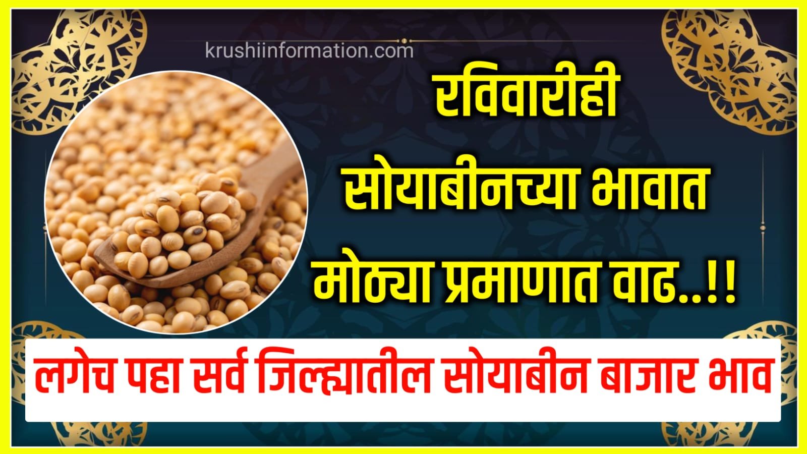 Soyabean Rate Today