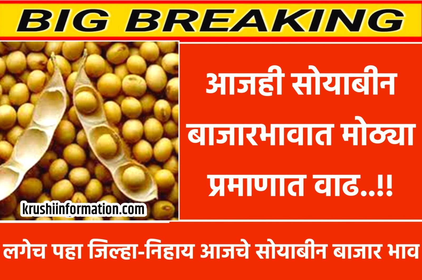 Soyabean Rate Today