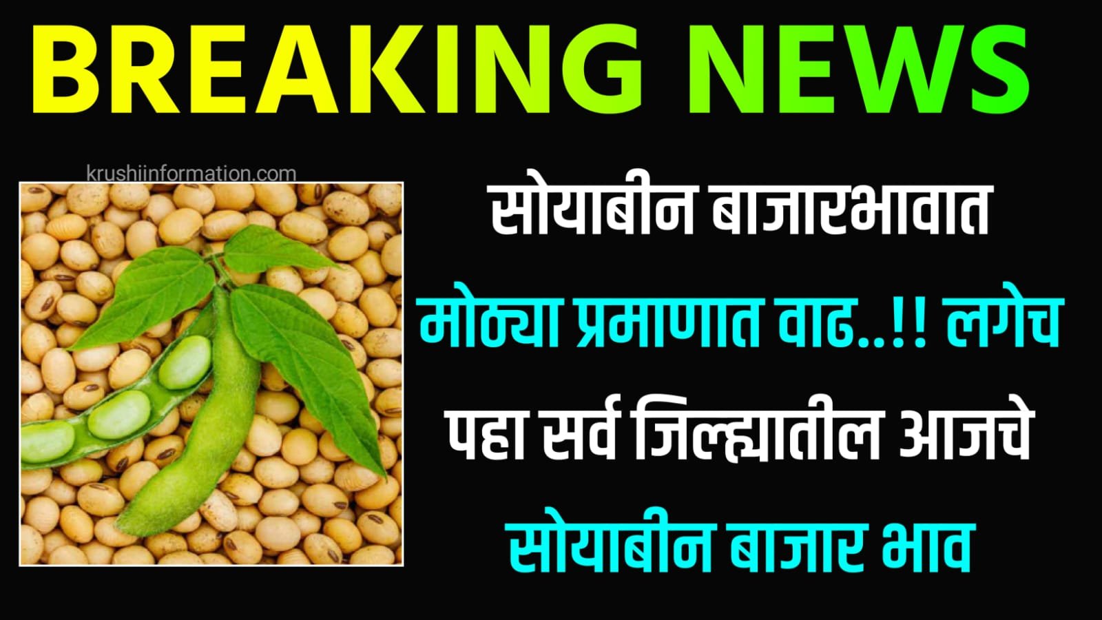 Soyabean Rate Today