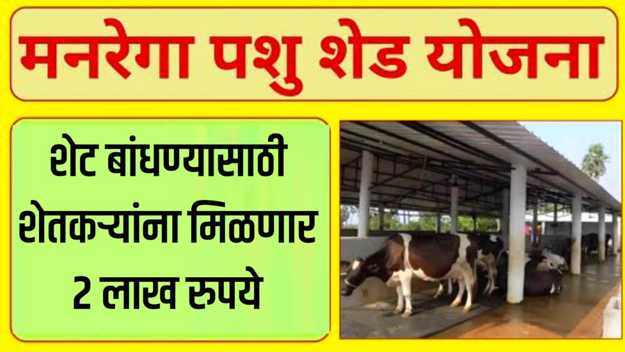 Cowshed subsidy